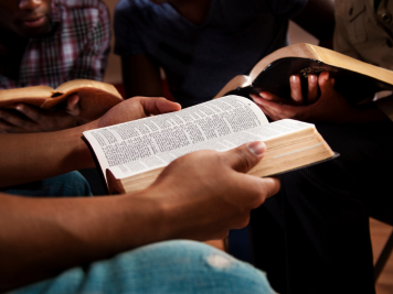 Blog image 2